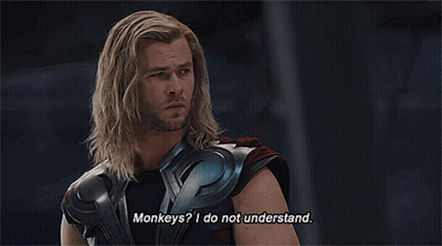 Long Haired Bearded Man Says Monkeys I Do Not Understand GIF