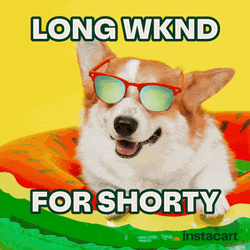 Long Weekend For Shorty On The Floaties GIF