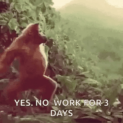 Long Weekend Monkey Happy Dance GIF