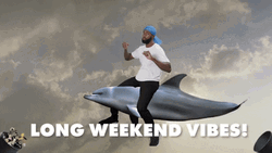 Long Weekend Vibes Man Riding A Dolphin GIF
