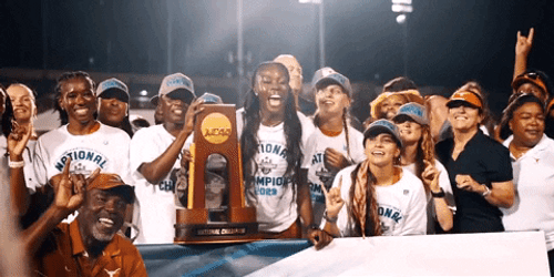 Longhorns Diving Swimming  Texas GIF