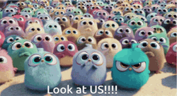 Look At Us Angry Bird GIF