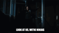 Look At Us We're Ninjas GIF