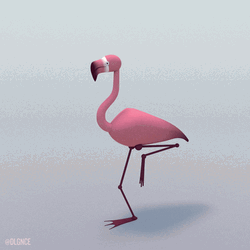 Look Away Animated Flamingo GIF