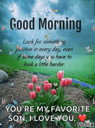 Look For Something Positive Everyday Adage GIF