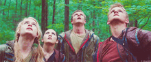 Look Up Forest May The Odds Be Ever In Your Favor GIF