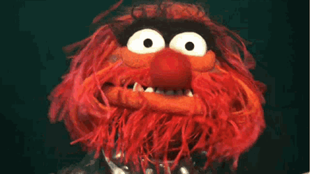 Looking Around Animal GIF