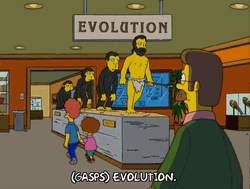 Looking At Evolution Museum  GIF