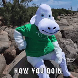 Looking At Watch How You Doin Bumby Wool GIF