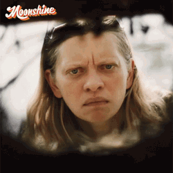 Looking For Something On A Whole Moonshine GIF