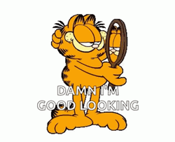 Looking Good Garfield GIF