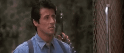 Looking Good Sylvester Stallone Over The Top GIF