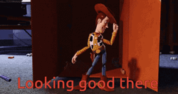 Looking Good Woody GIF