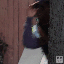 Looking Through Binoculars Brandon GIF