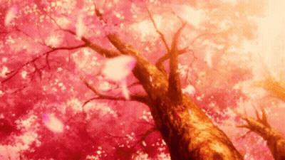 Looking Up At A Cherry Blossom Tree With The Sun Shining Through The Branches GIF