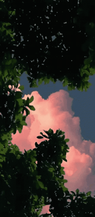 Looking Up at Cloudy Sky Through Tree Branches