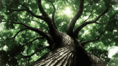 Looking Up At Tree With Mahcyome.tumblr.com GIF