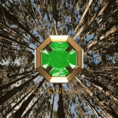 Looking Up Into Forest Deep Kingdoms GIF