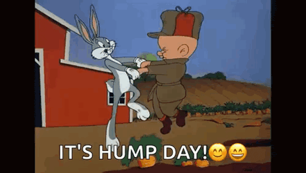 Looney Tunes Bugs Bunny GIF