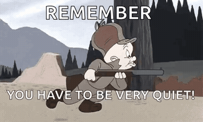 Looney Tunes Elmer Fudd Is Holding A Rifle And Says `` Remember You Have To Be Very Quiet ! '' GIF