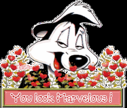 Looney Tunes Pepe Le Pew You Look Marvelous GIF