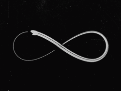Loop Moving Infinity Symbol