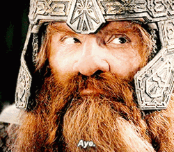 Lord Of The Rings Aye Gimli  GIF