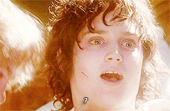 Lord Of The Rings Frodo Baggins Amazing Reaction  GIF