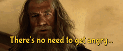 Lord Of The Rings Gandalf Angry GIF