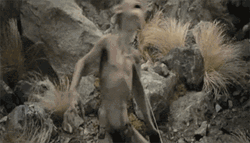 Lord Of The Rings Gollum Tantrum GIF
