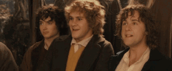 Lord Of The Rings Where We Going GIF
