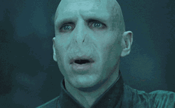 Lord Voldemort Deal With It GIF
