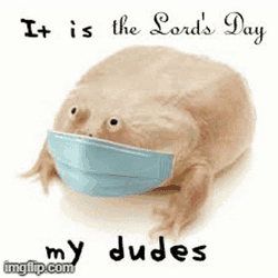 Lords Day Frog GIF