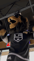 Los Angeles Kings Bailey The Lion GIF