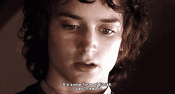 Lotr Elijah Wood I Cant Read It GIF