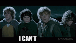 Lotr Frodo Baggins Fainting GIF