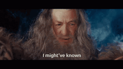 Lotr Gandalf I Might Have Known GIF