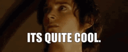 Lotr Its Quite Cool GIF