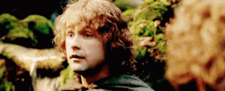 Lotr Pippin Took Cute Smile GIF