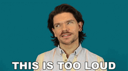 Loud Noises This Is Too Loud Robin James GIF