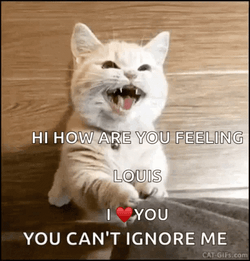 Louis I Love You Can't Ignoring Me GIF