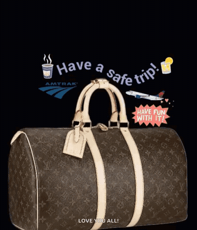 Louis Vuitton Bag Have A Safe Trip GIF