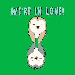 Love Couple GIF