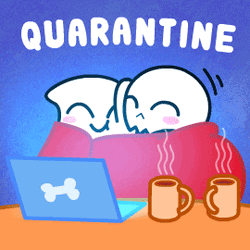 Love Couple Quarantine