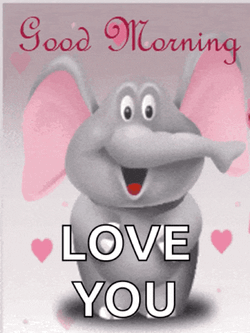 Love Elephant GIF