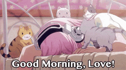Love Good Morning Super Sonico And Her Cats GIF