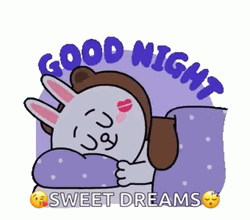 Love Good Night Brown Cony GIF
