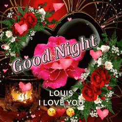 Love Good Night Dear Louis GIF