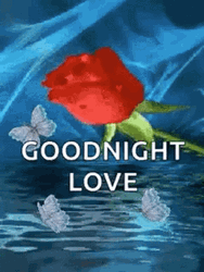Love Good Night Reflecting Water GIF