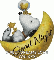 Love Good Night Sleeping Snoopy GIF